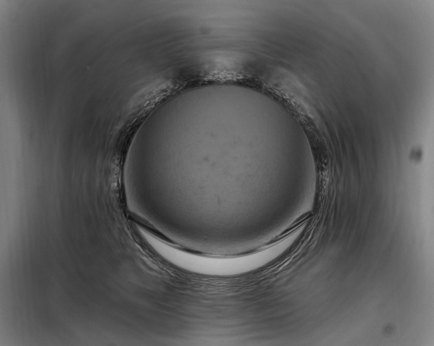 X0000098210517200805011214