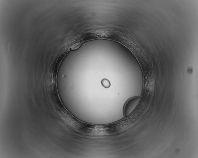 X0000098210518200805011214