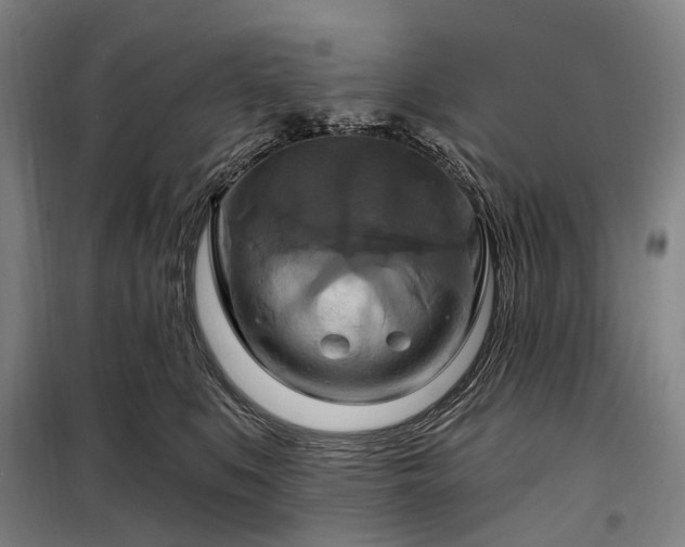 X0000098210519200805011214