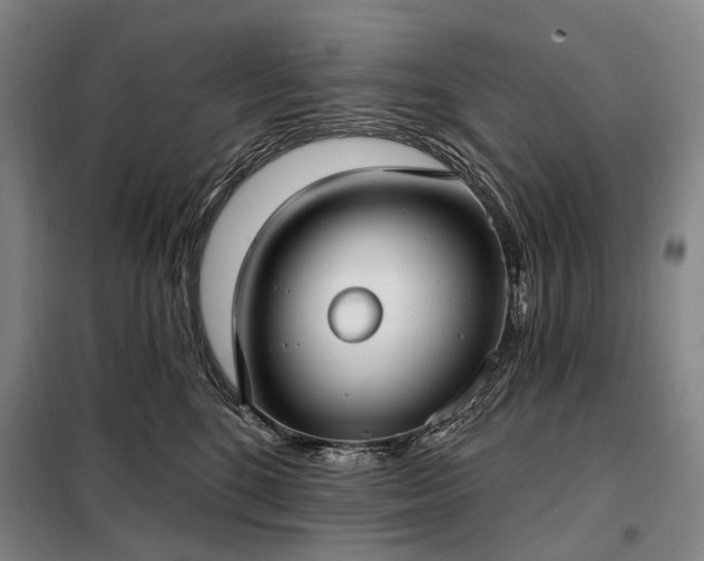 X0000098210520200805011214