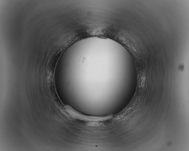 X0000098210521200805011214