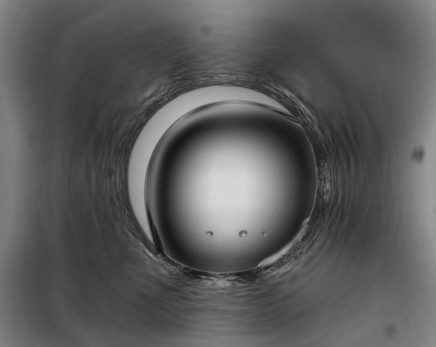 X0000098210523200805011214