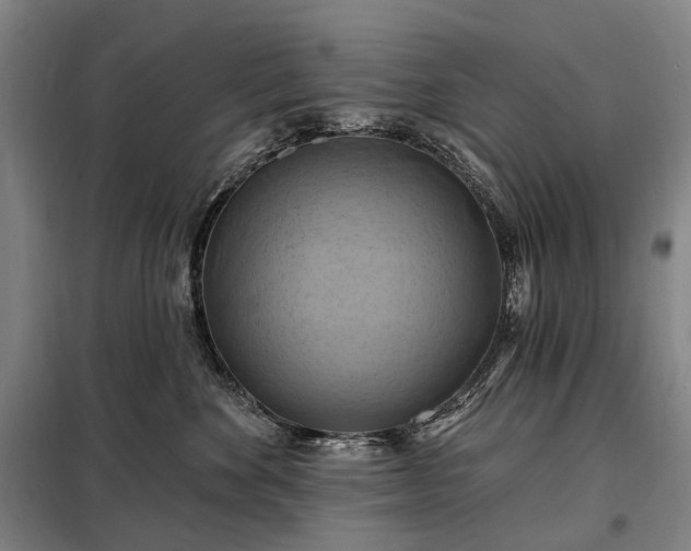 X0000098210524200805011214