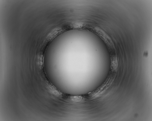 X0000098210525200805011214