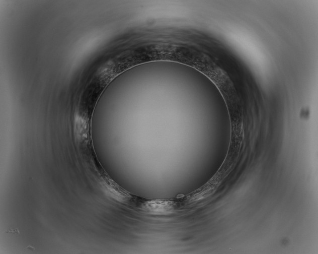 X0000098210526200805011214