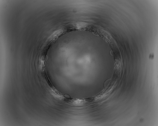 X0000098210527200805011213