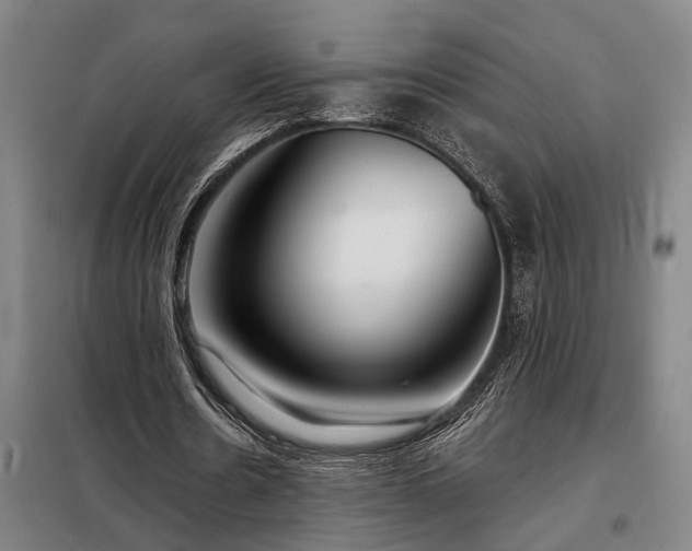 X0000098210530200805011213