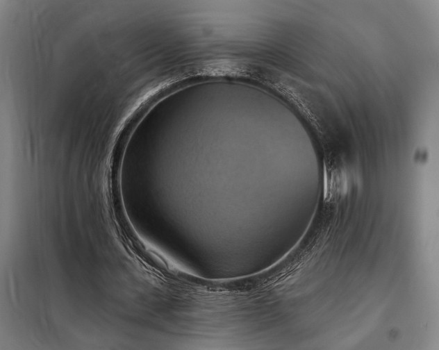 X0000098210531200805011213
