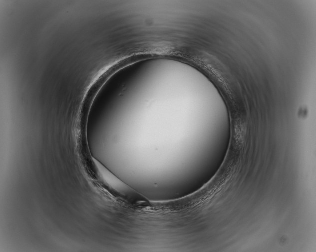 X0000098210532200805011213