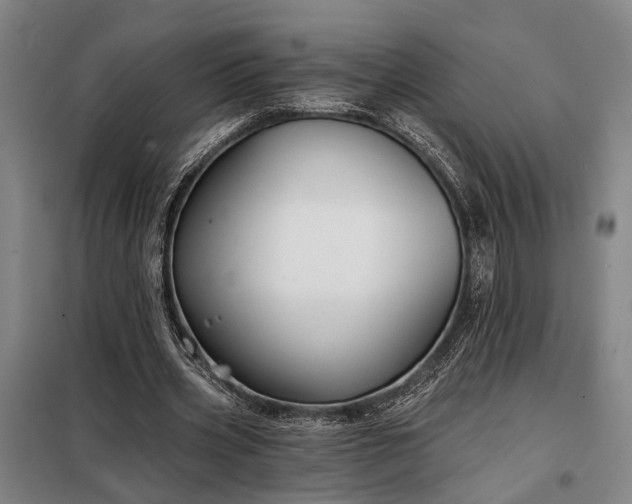 X0000098210533200805011213
