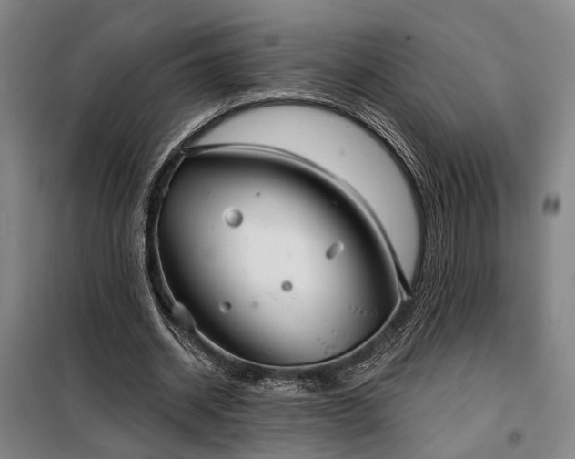 X0000098210534200805011213