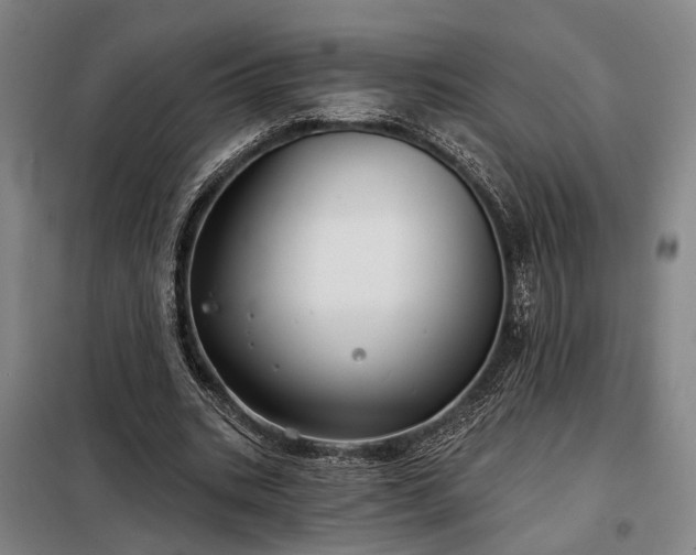 X0000098210535200805011213