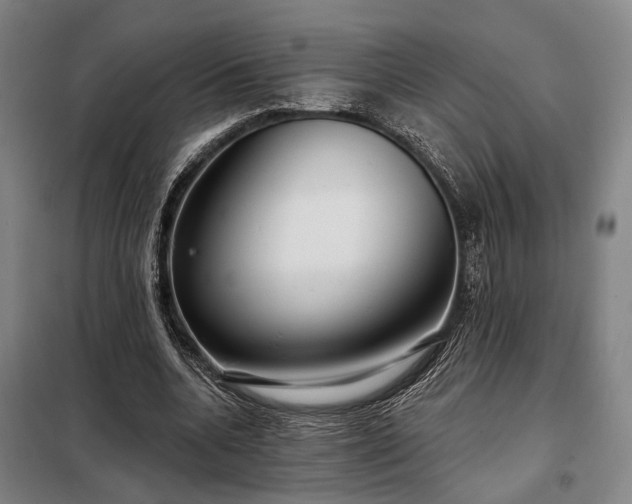 X0000098210536200805011213