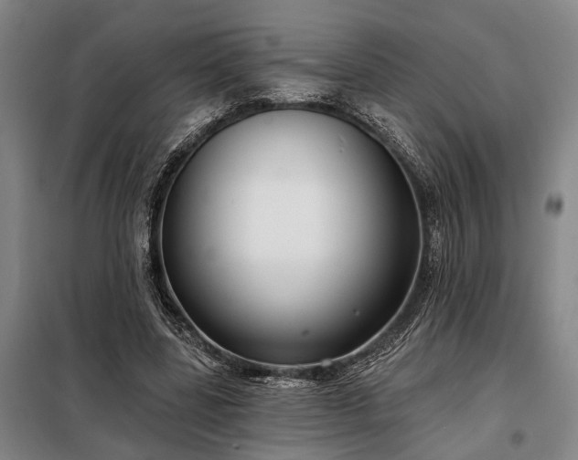 X0000098210539200805011213