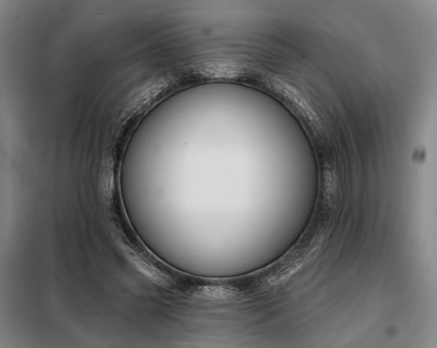 X0000098210541200805011213
