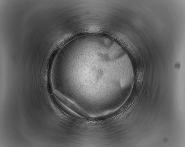 X0000098210542200805011213