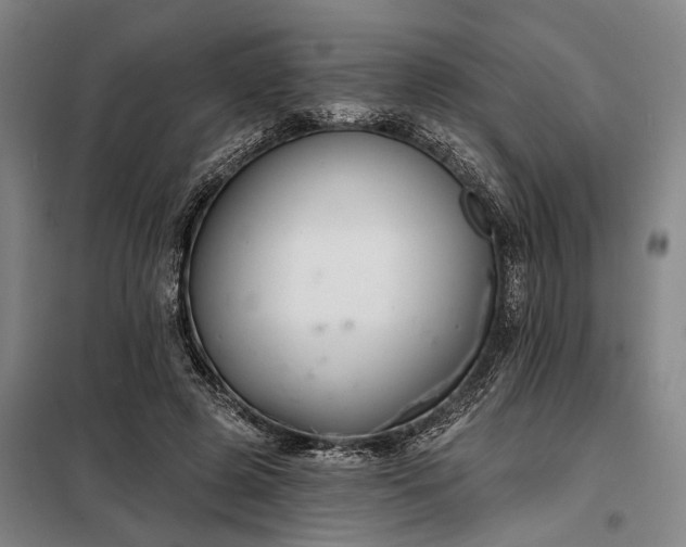 X0000098210545200805011213