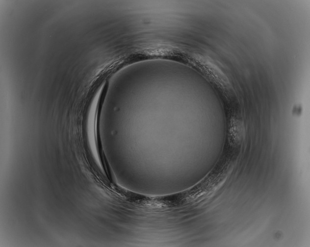 X0000098210547200805011213