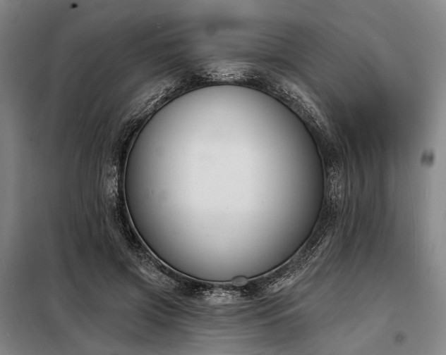 X0000098210549200805011213