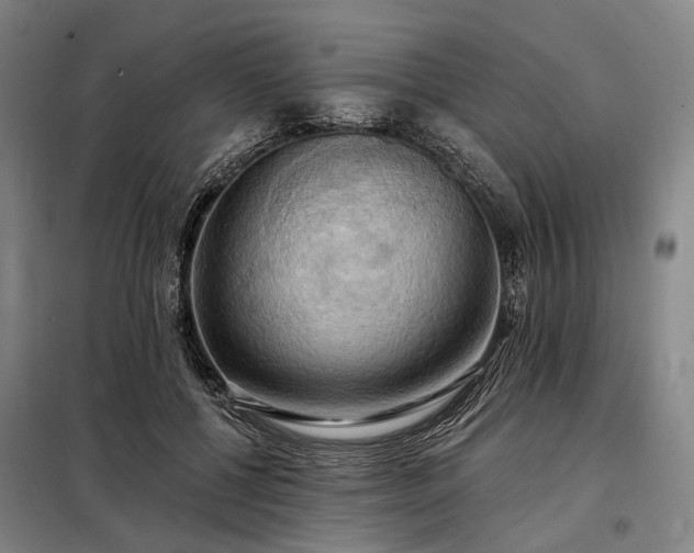 X0000098210552200805011213