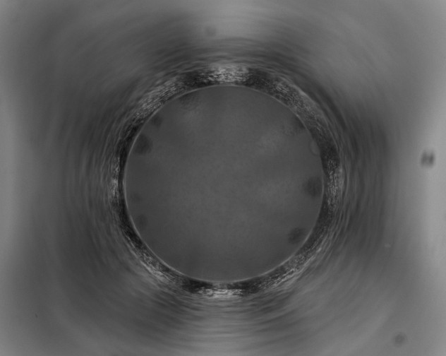 X0000098210553200805011213
