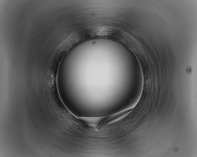 X0000098210555200805011213