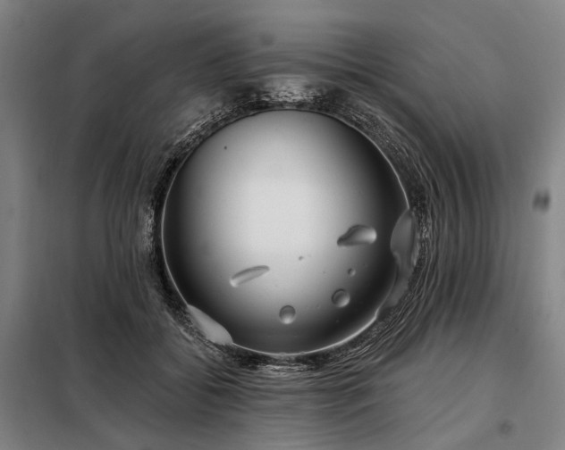 X0000098210556200805011213
