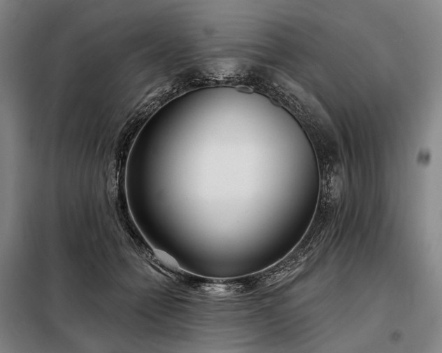 X0000098210558200805011213