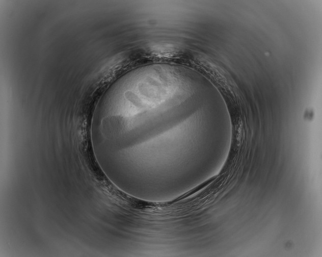 X0000098210559200805011213