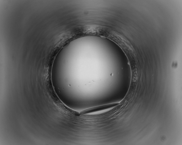 X0000098210560200805011213