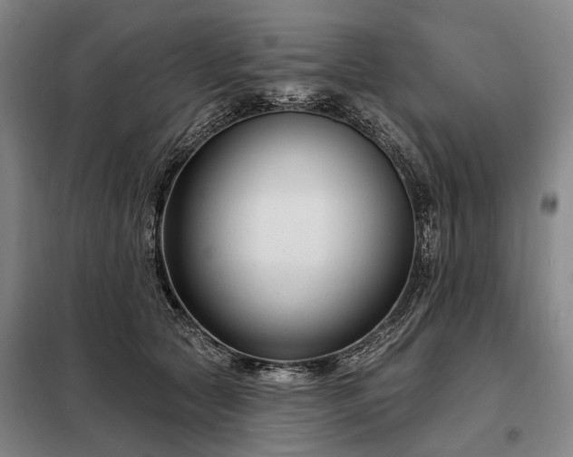 X0000098210561200805011213