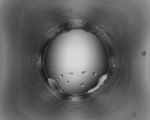 X0000098210564200805011213