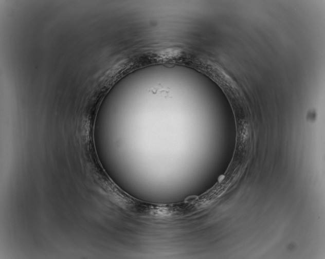 X0000098210565200805011213