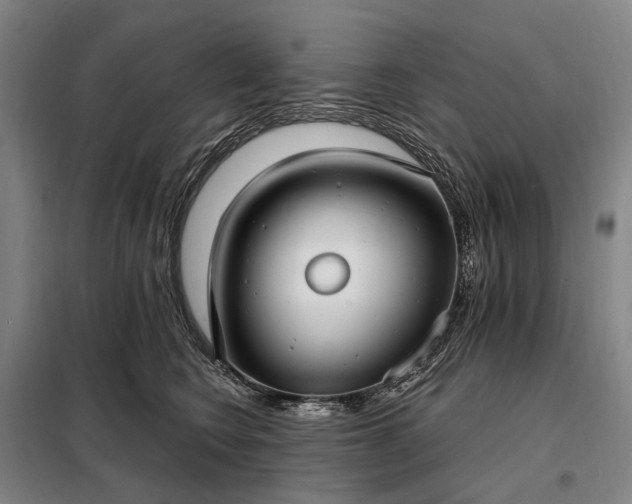X0000098210566200805011213