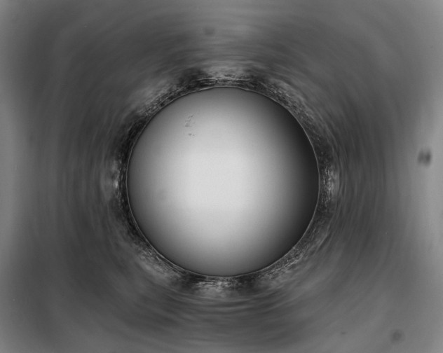 X0000098210567200805011213