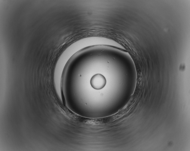 X0000098210568200805011213