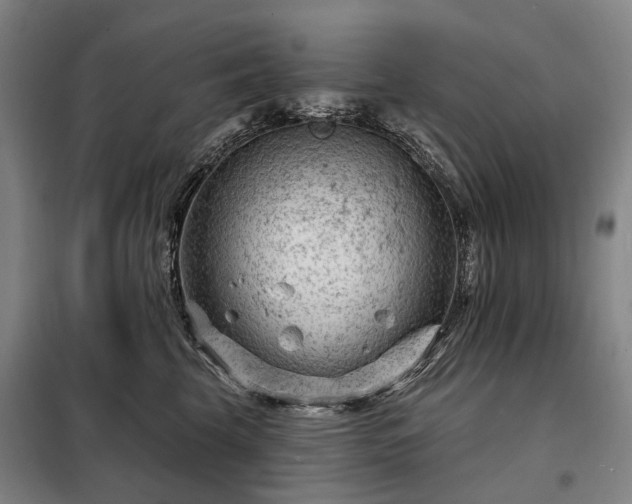 X0000098210569200805011213