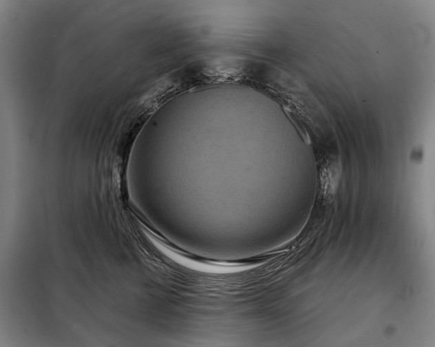 X0000098210570200805011213