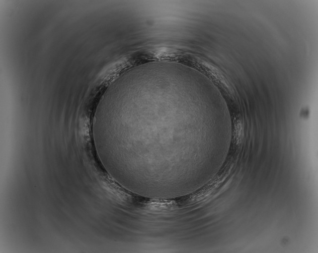 X0000098210571200805011213