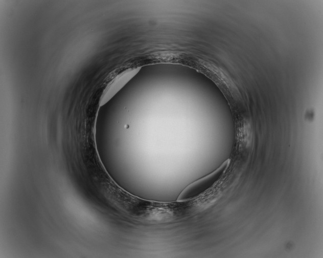X0000098210572200805011213