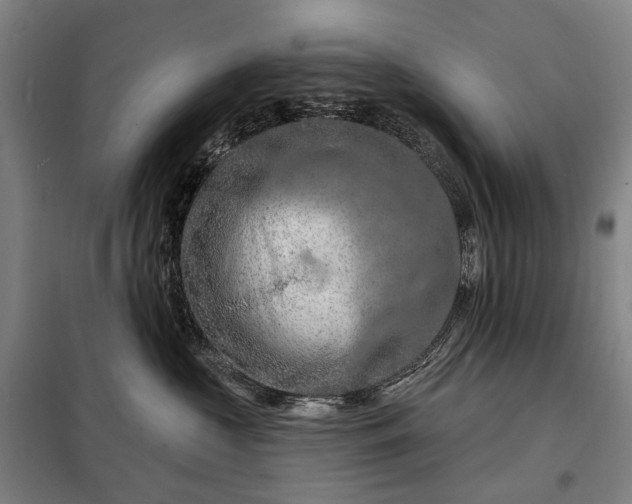X0000098210573200805011213