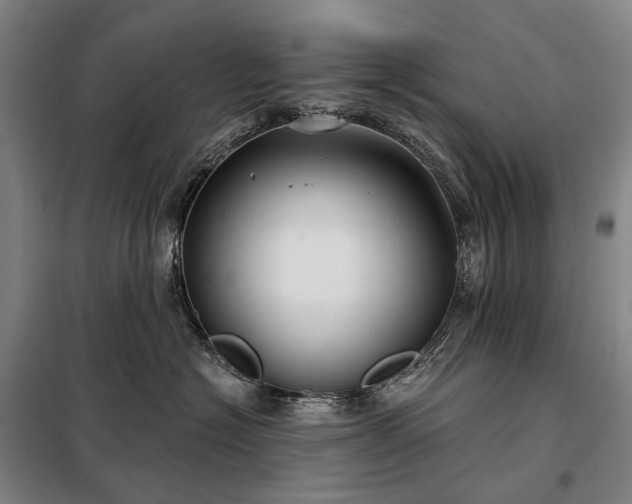 X0000098210574200805011213