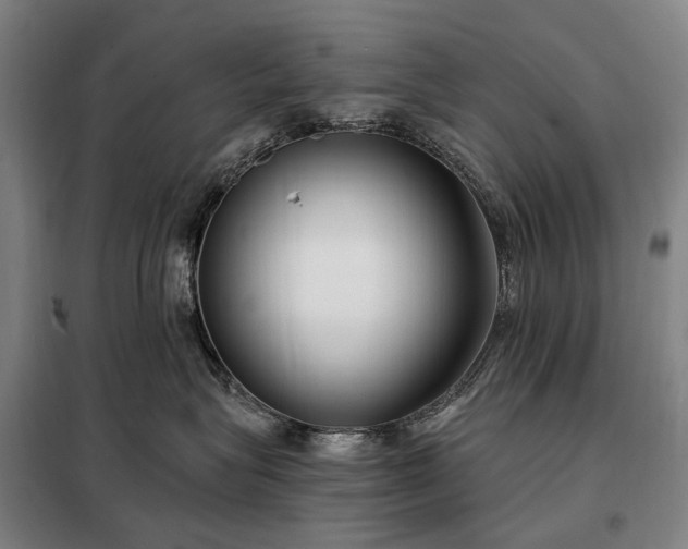 X0000098210575200805011213