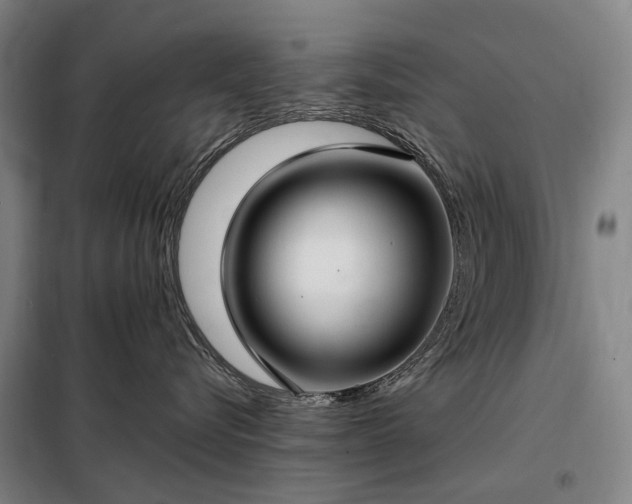 X0000098210576200805011213