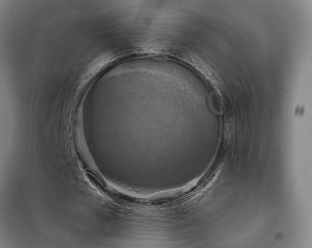 X0000098210577200805011213
