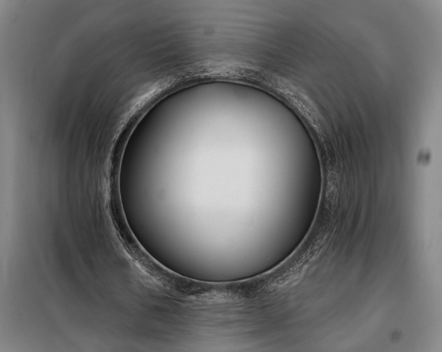 X0000098210578200805011213