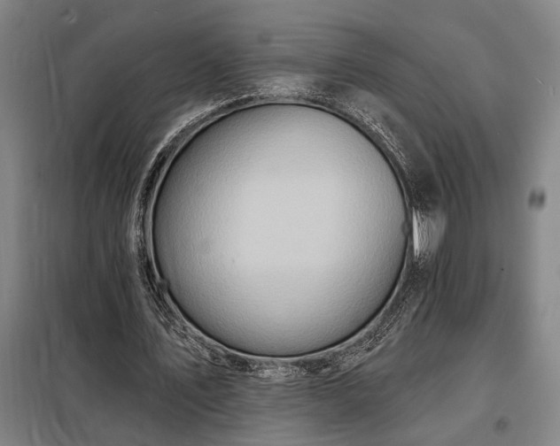 X0000098210579200805011213