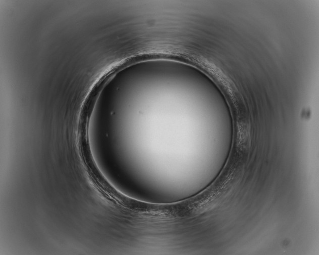 X0000098210580200805011213