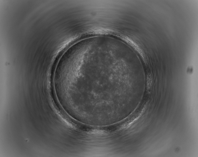 X0000098210581200805011213