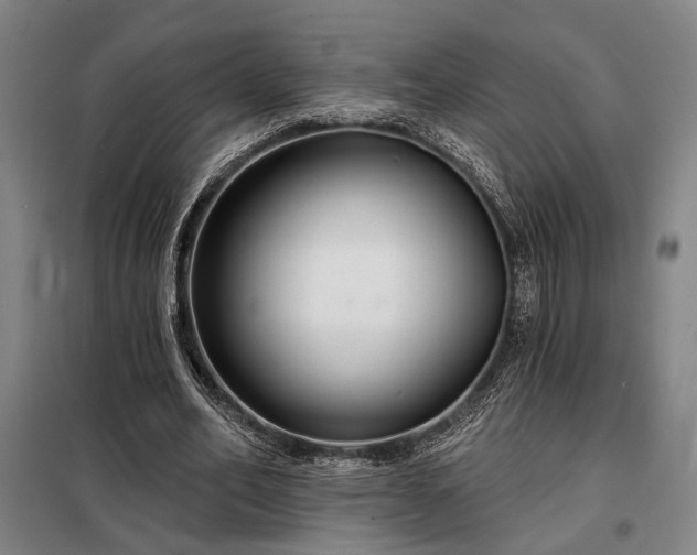 X0000098210582200805011213
